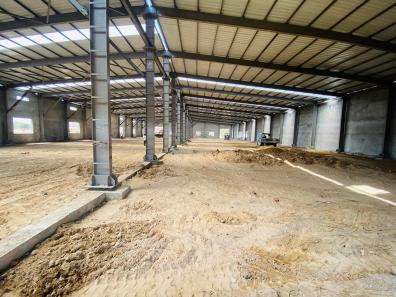 FB_IMG_1740591516498_Original1